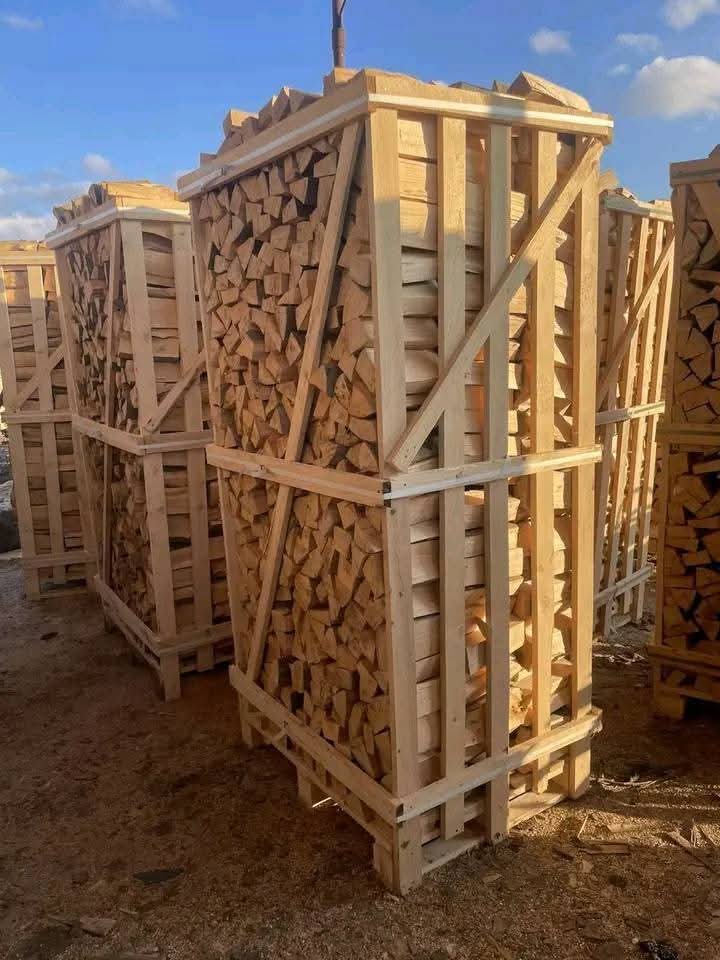 Premium Buchenholz 20 RM – Kammergetrocknetes Brennholz