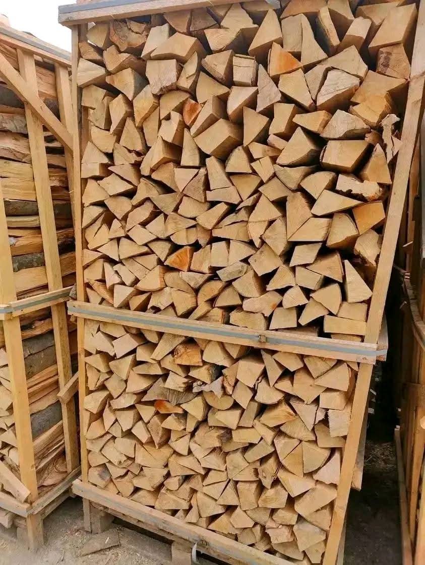 Premium Buchenholz 44 RM – Kammergetrocknetes Brennholz