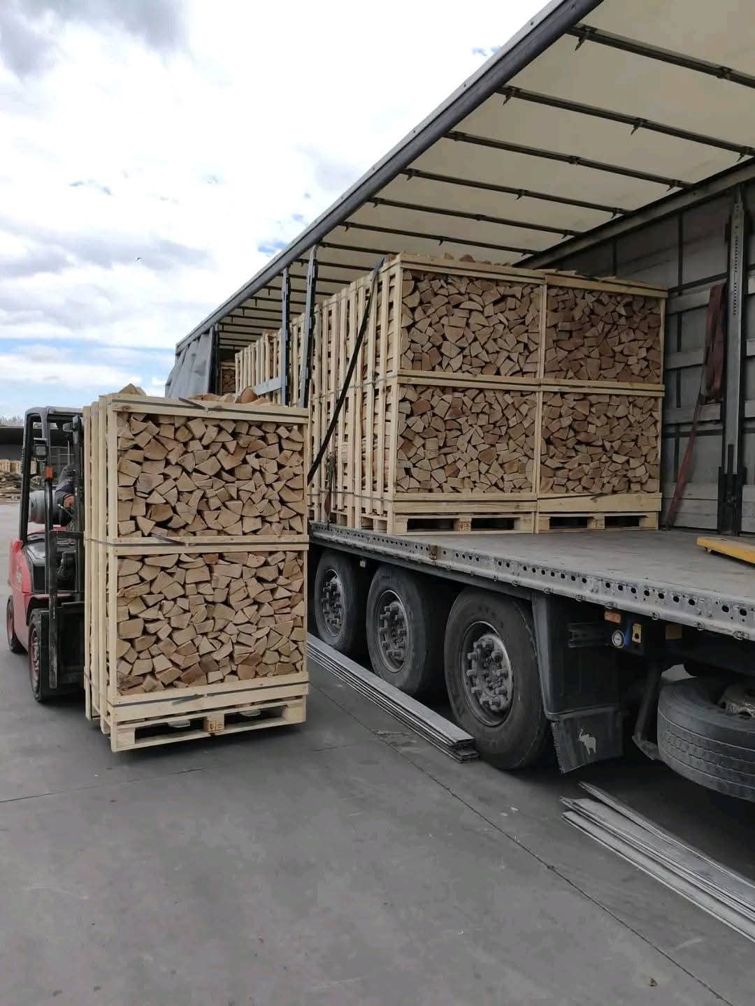 Premium Buchenholz 55 RM – Kammergetrocknetes Brennholz
